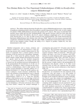 Two Distinct Roles for Two Functional Cobaltochelatases (Cbik) in Desulfovibrio Vulgaris Hildenborough† Susana A