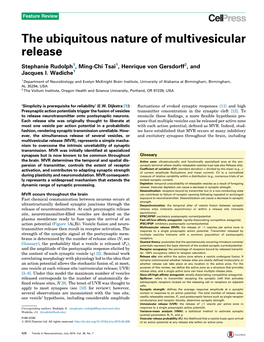 The Ubiquitous Nature of Multivesicular Release
