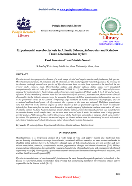 Experimental Mycobacteriosis in Atlantic Salmon, Salmo Salar and Rainbow Trout, Oncorhynchus Mykiss