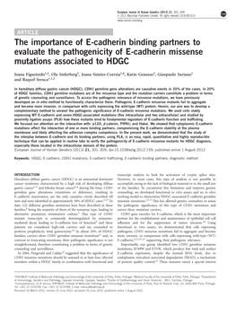 The Importance of E-Cadherin Binding Partners to Evaluate the Pathogenicity of E-Cadherin Missense Mutations Associated to HDGC