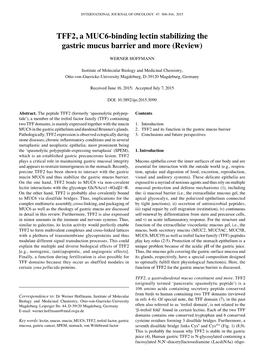 TFF2, a MUC6-Binding Lectin Stabilizing the Gastric Mucus Barrier and More (Review)