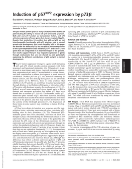 Induction of P57 Expression by P73ß