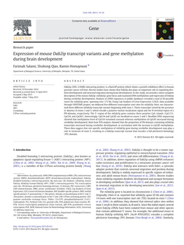 Expression of Mouse Dab2ip Transcript Variants and Gene Methylation During Brain Development