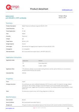 Anti-BCLAF1 / BTF Antibody (ARG11032)