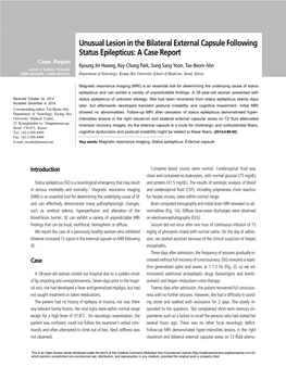 Unusual Lesion in the Bilateral External Capsule Following Status Epilepticus: a Case Report