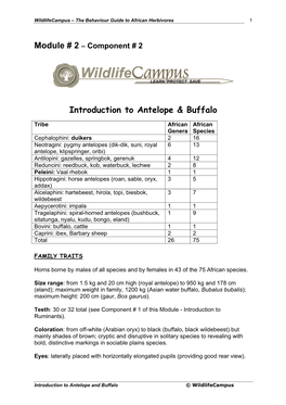 Introduction to Antelope & Buffalo