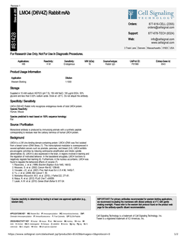 81428 LMO4 (D6V4Z) Rabbit Mab