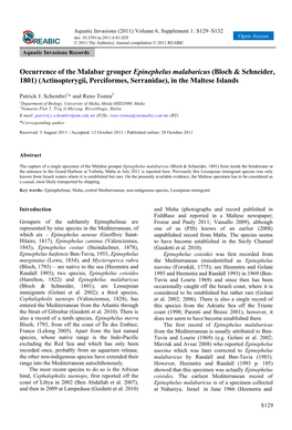 Occurrence of the Malabar Grouper Epinephelus Malabaricus (Bloch & Schneider, 1801) (Actinopterygii, Perciformes, Serranidae), in the Maltese Islands