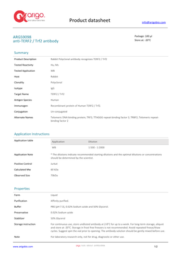 Anti-TERF2 / Trf2 Antibody (ARG59098)