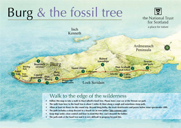 Burg & the Fossil Tree
