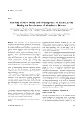 The Role of Nitric Oxide in the Pathogenesis of Brain Lesions During the Development of Alzheimer's Disease