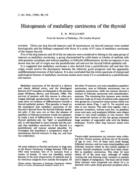 Histogenesis of Medullary Carcinoma of the Thyroid