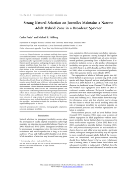 Strong Natural Selection on Juveniles Maintains a Narrow Adult Hybrid Zone in a Broadcast Spawner