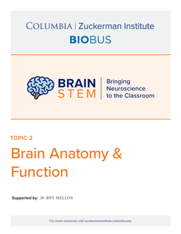Brain Anatomy & Function Lesson Plan