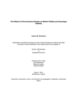 The Effects of Chromosome Number on Mitotic Fidelity and Karyotype Stability
