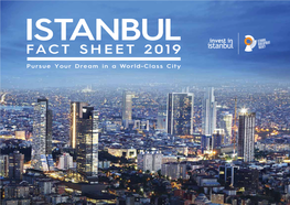 Istanbul Fact Sheet 2019