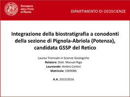 Integrazione Della Biostratigrafia a Conodonti Della Sezione Di Pignola-Abriola (Potenza), Candidata GSSP Del Retico