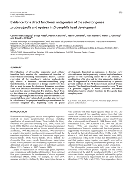 Evidence for a Direct Functional Antagonism of the Selector Genes Proboscipedia and Eyeless in Drosophila Head Development