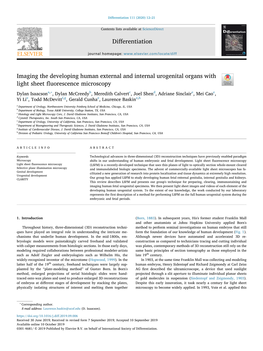 Imaging the Developing Human External and Internal Urogenital Organs with Light Sheet ﬂuorescence Microscopy T