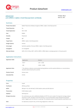 Anti-ORM1 / Alpha 1 Acid Glycoprotein Antibody (ARG41542)