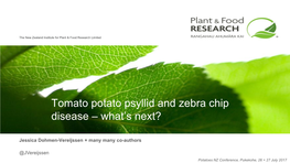 Tomato Potato Psyllid and Zebra Chip Disease – What's Next?
