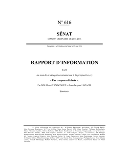 Rapport D´Information