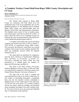 Description and CT Scan Henry Kirkland, Jr