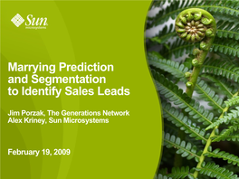 Marrying Prediction and Segmentation to Identify Sales Leads