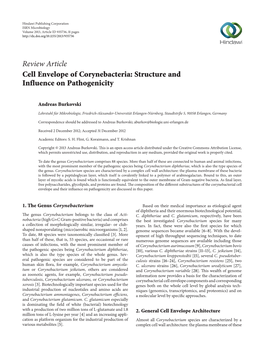 Cell Envelope of Corynebacteria: Structure and Influence on Pathogenicity