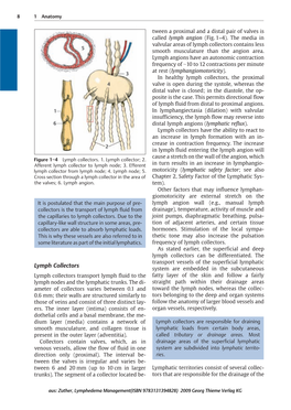 Thieme: Lymphedema Management