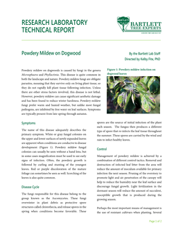 Powdery Mildew on Dogwood by the Bartlett Lab Staff Directed by Kelby Fite, Phd