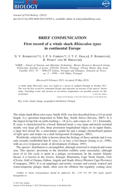 First Record of a Whale Shark Rhincodon Typus in Continental Europe