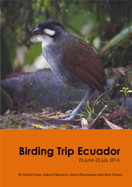 Birding Trip Ecuador 25 June-25 July 2014