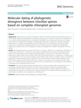 Molecular Dating of Phylogenetic Divergence Between Urochloa