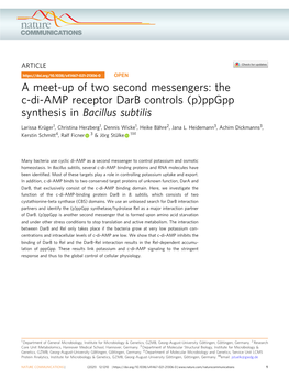 The C-Di-AMP Receptor Darb Controls (P)Ppgpp Synthesis in Bacillus Subtilis