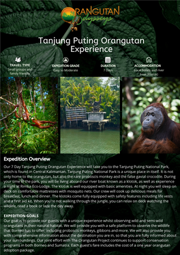 Tanjung Puting Orangutan Experience Brochure