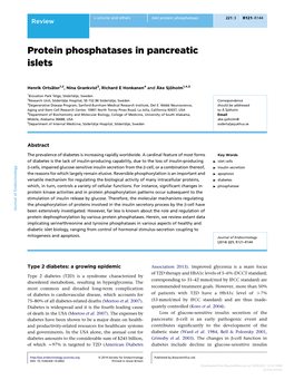 Protein Phosphatases in Pancreatic Islets