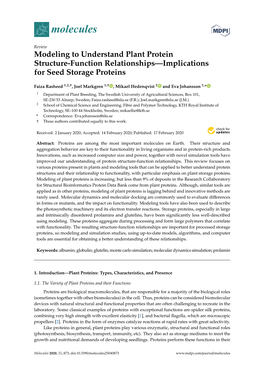 Modeling to Understand Plant Protein Structure-Function Relationships—Implications for Seed Storage Proteins