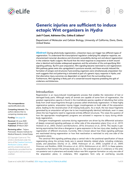 Generic Injuries Are Sufficient to Induce Ectopic Wnt Organizers in Hydra Jack F Cazet, Adrienne Cho, Celina E Juliano*