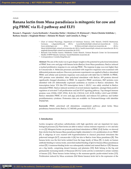 Banana Lectin from Musa Paradisiaca Is Mitogenic for Cow and Pig PBMC Via IL-2 Pathway and ELF1