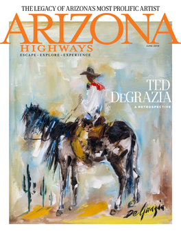 TED Degrazia a RETROSPECTIVE TED Degrazia