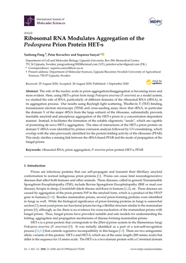 Ribosomal RNA Modulates Aggregation of the Podospora Prion Protein HET-S