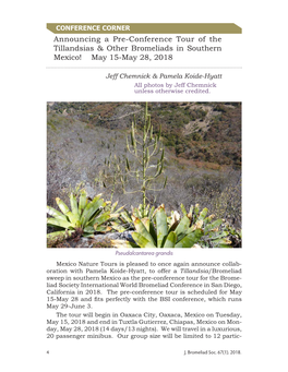 Announcing a Pre-Conference Tour of the Tillandsias & Other Bromeliads in Southern Mexico!