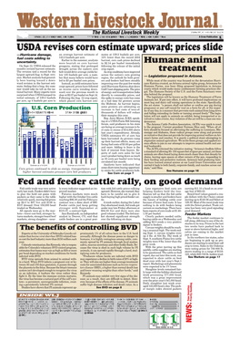 USDA Revises Corn Estimate Upward; Prices Slide