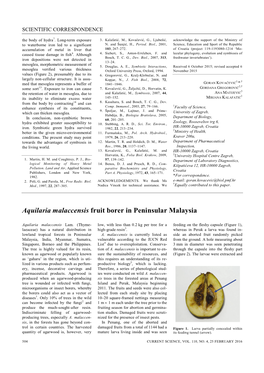 Aquilaria Malaccensis Fruit Borer in Peninsular Malaysia