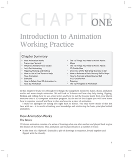 Introduction to Animation Working Practice