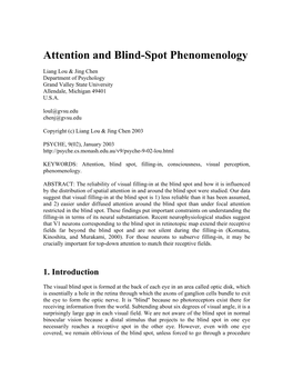 Attention and Blind-Spot Phenomenology