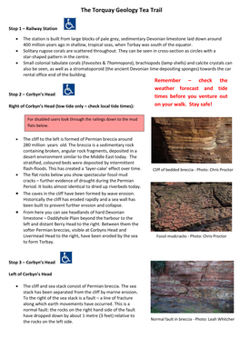 The Torquay Geology Tea Trail