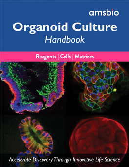 Organoid Culture Handbook