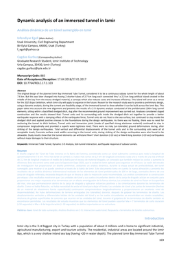 Dynamic Analysis of an Immersed Tunnel in Izmir